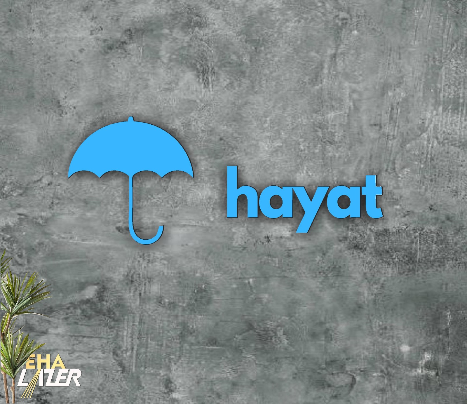 HAYAT